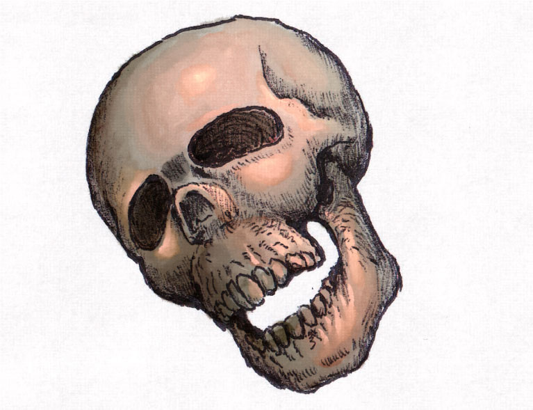 skull-color